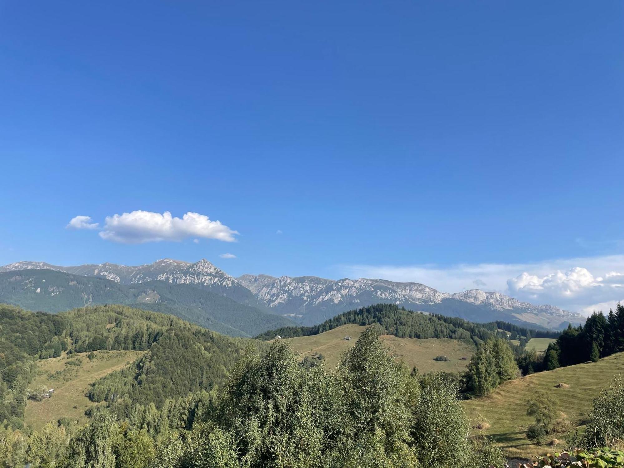 Casa Dudu Villa Moieciu de Jos Exteriör bild