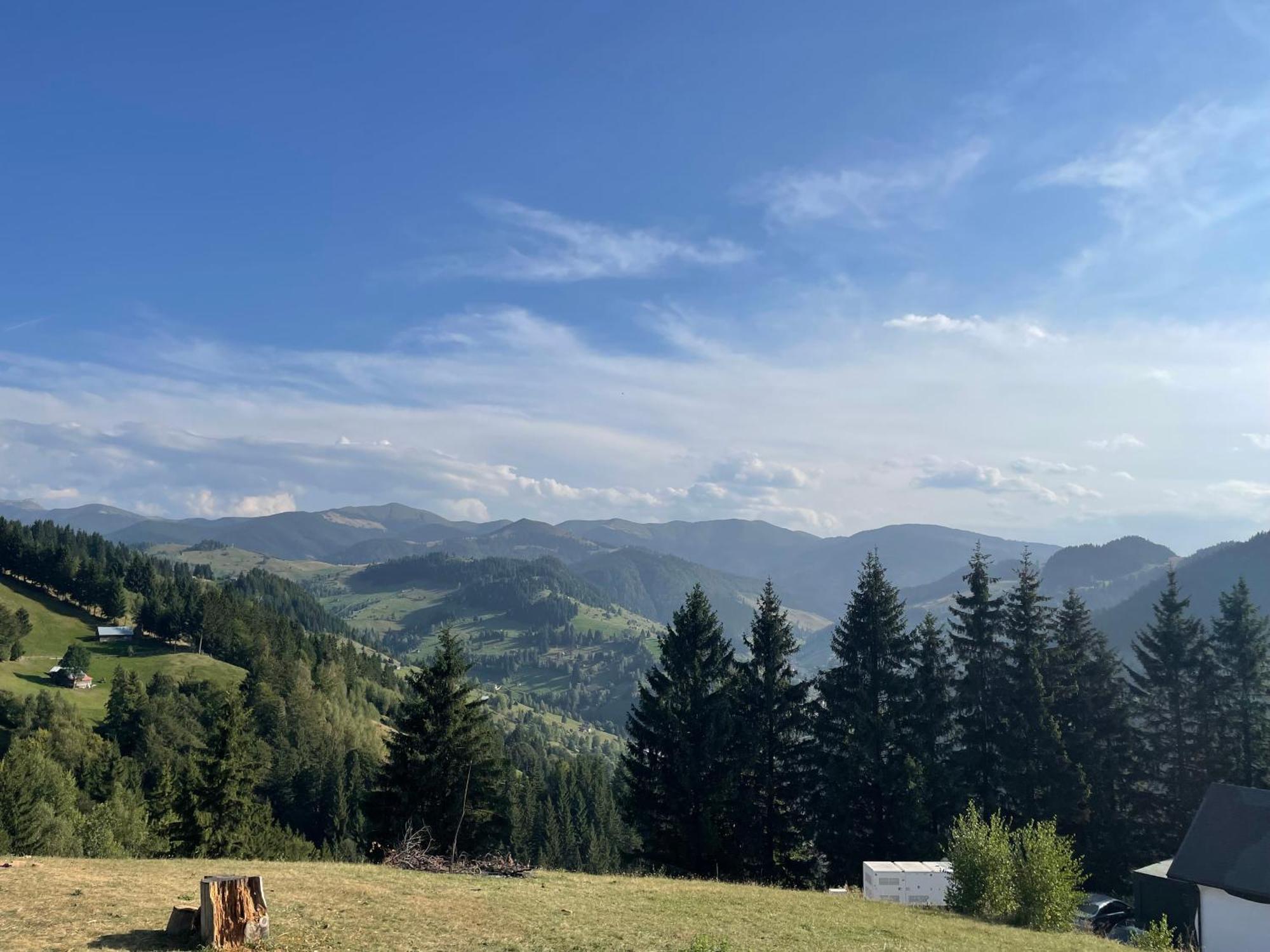 Casa Dudu Villa Moieciu de Jos Exteriör bild