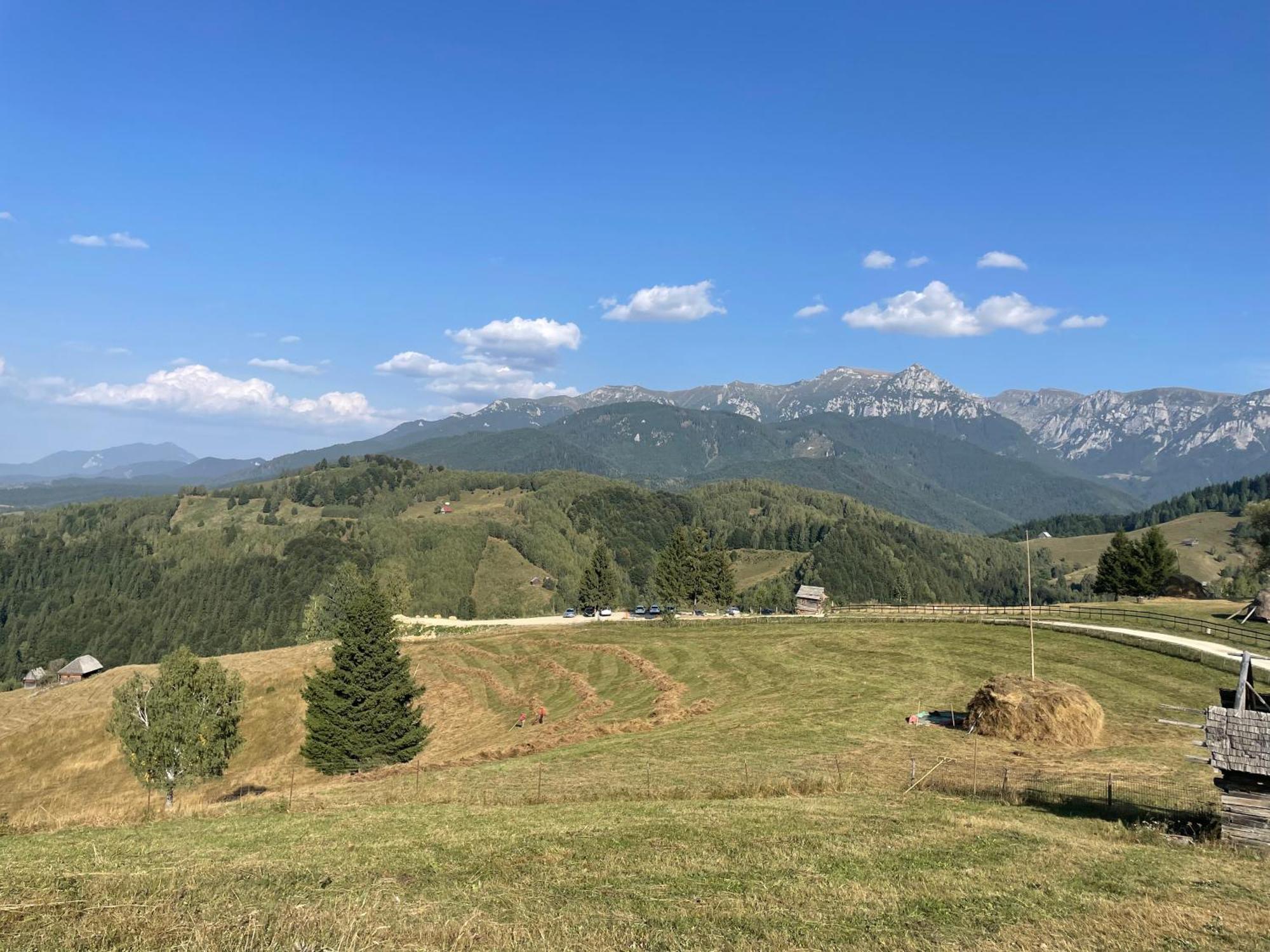 Casa Dudu Villa Moieciu de Jos Exteriör bild